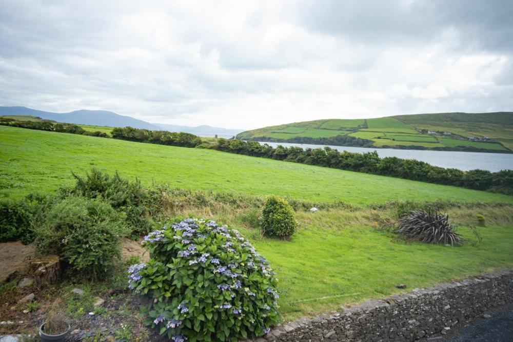 Half Door House Hotel Dingle Exterior photo